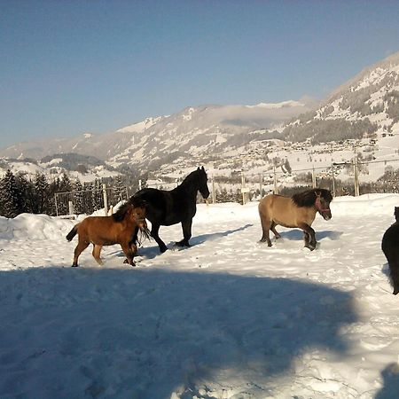 Weidinghof Sankt Veit im Pongau Exterior foto