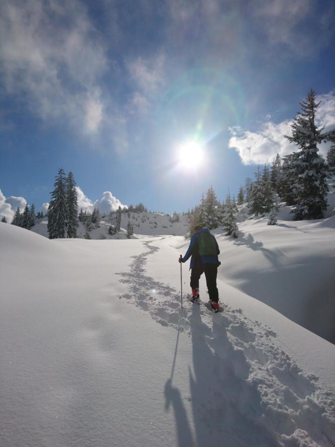 Weidinghof Sankt Veit im Pongau Exterior foto