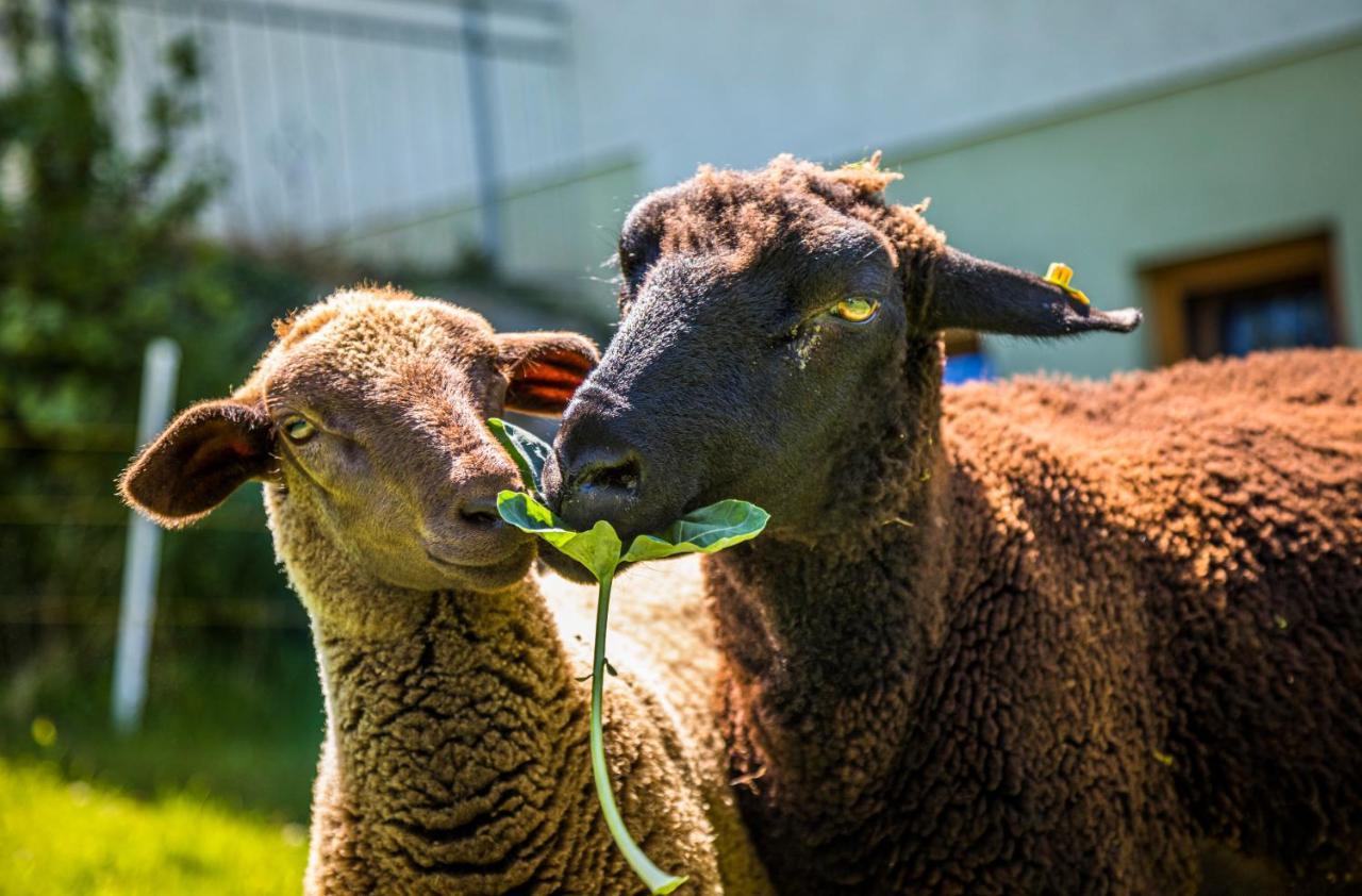 Weidinghof Sankt Veit im Pongau Exterior foto