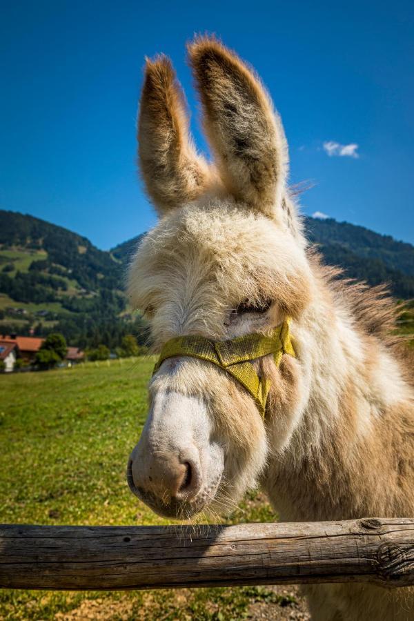 Weidinghof Sankt Veit im Pongau Exterior foto