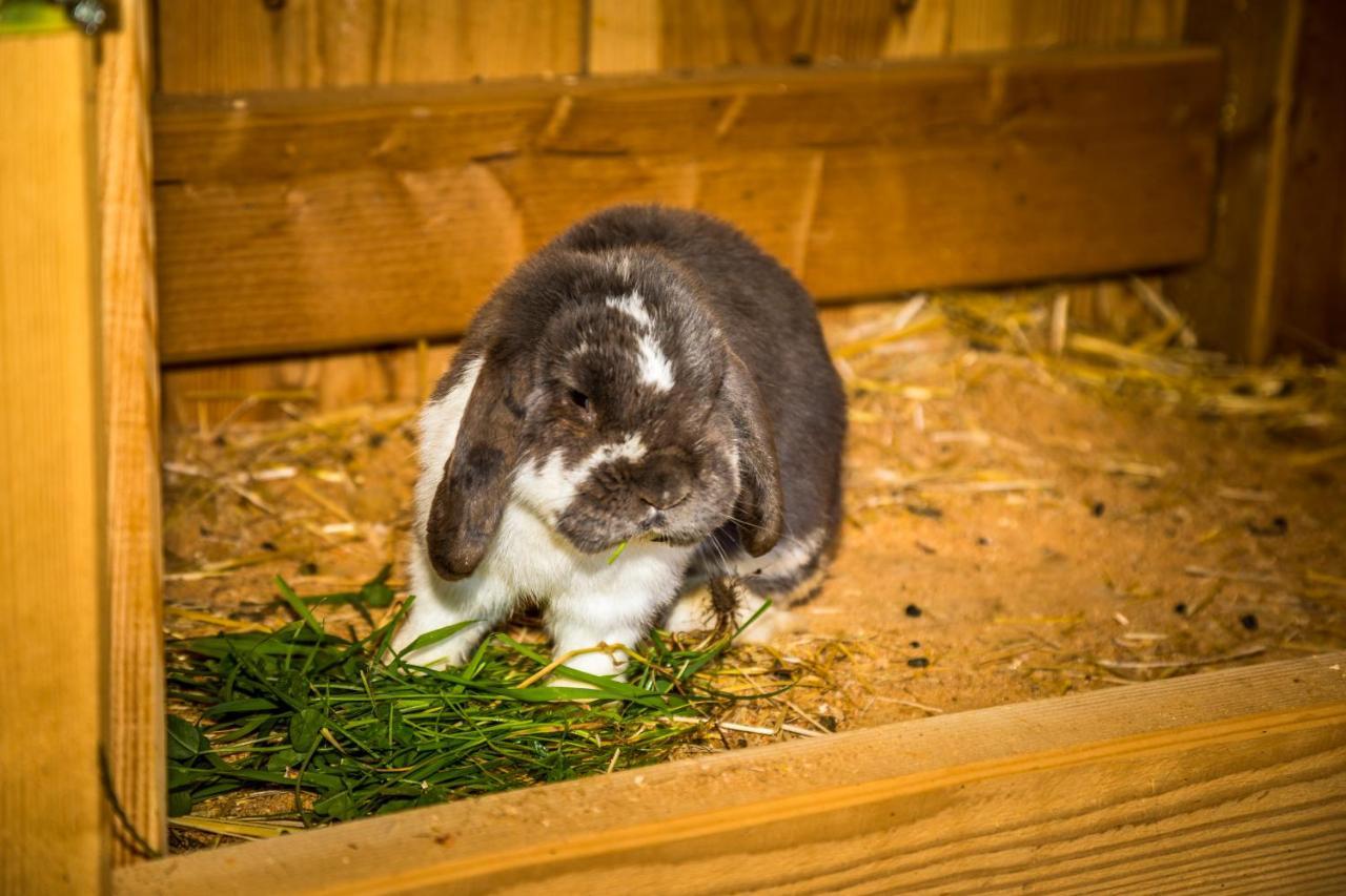 Weidinghof Sankt Veit im Pongau Exterior foto