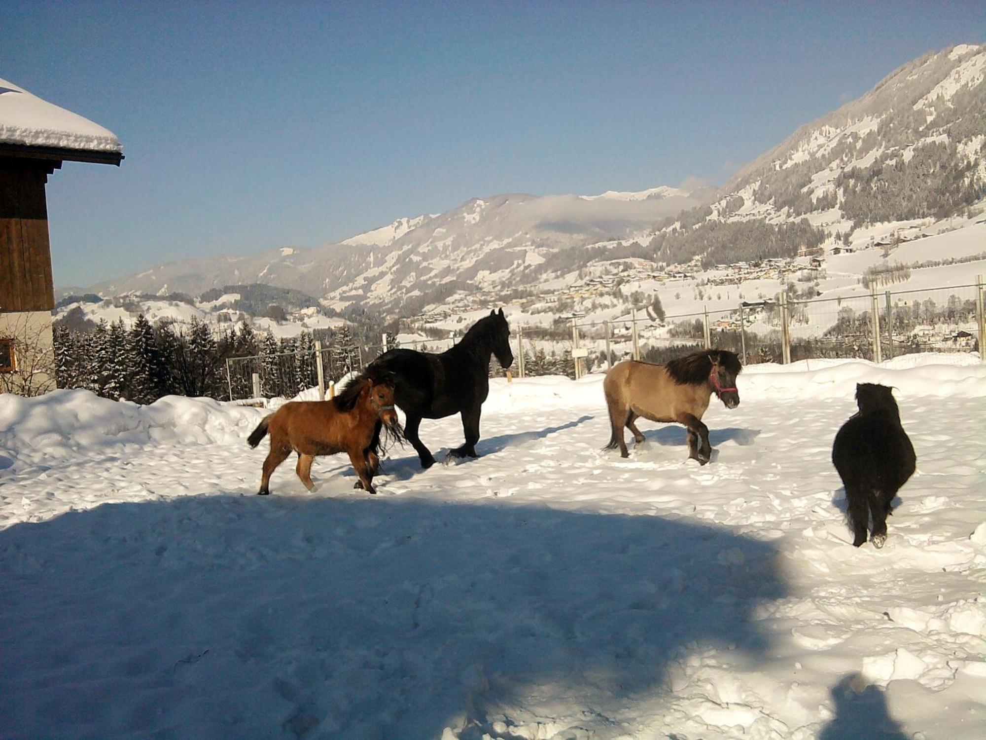 Weidinghof Sankt Veit im Pongau Exterior foto